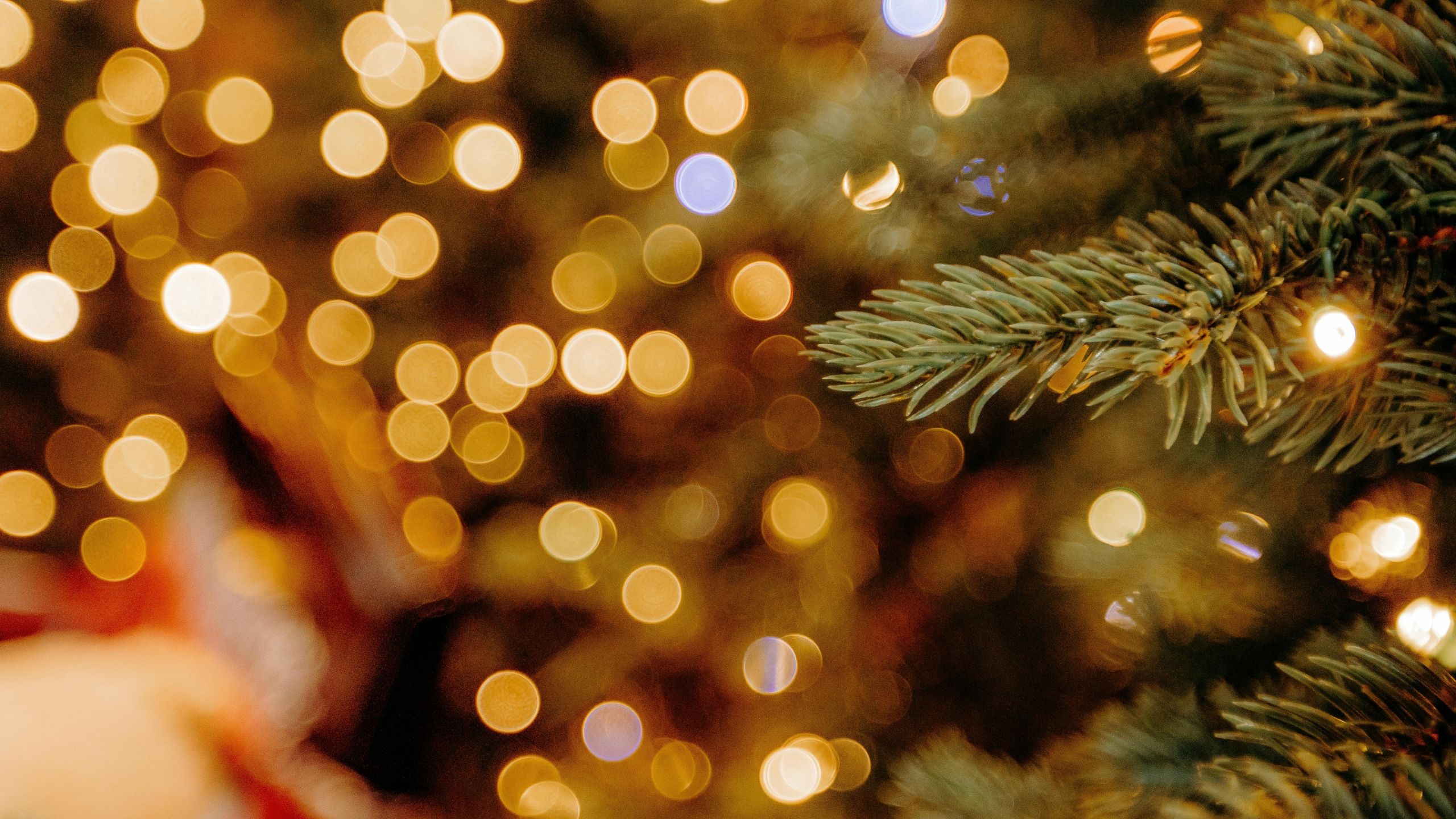 sapin noel et lumiere