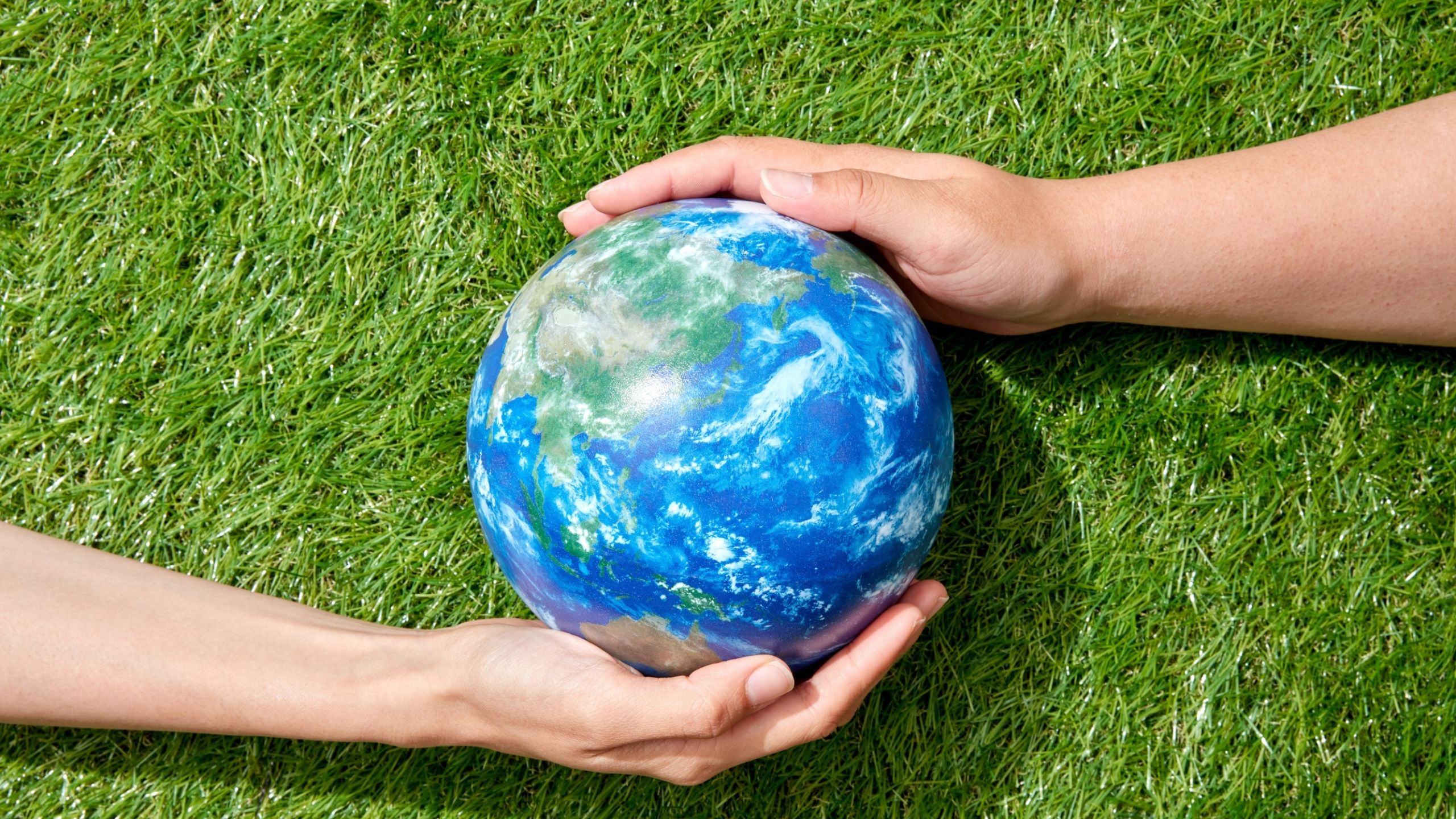 planete terre sur de l'herbe